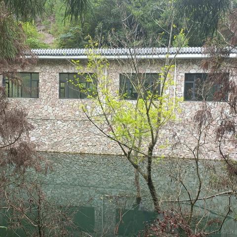 半亩花海于2023-08-13 19:58发布的图片