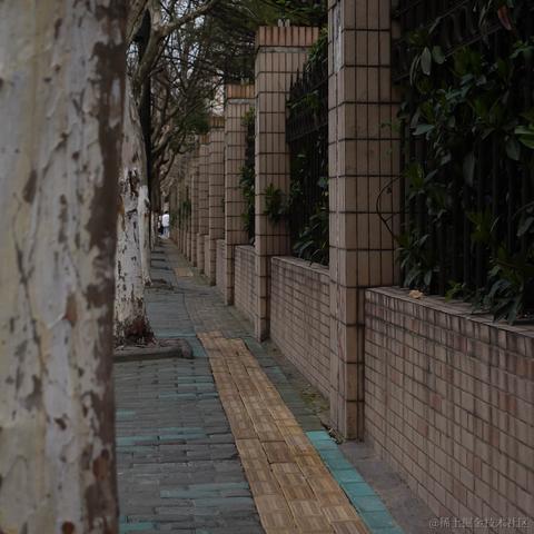 这波是肉蛋葱鸡于2023-03-13 17:42发布的图片