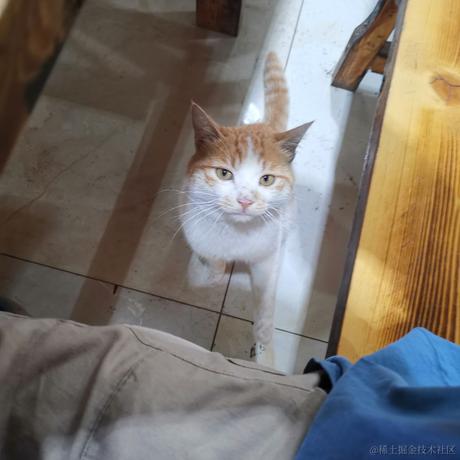 嘉然今天吃团子于2022-11-25 22:48发布的图片