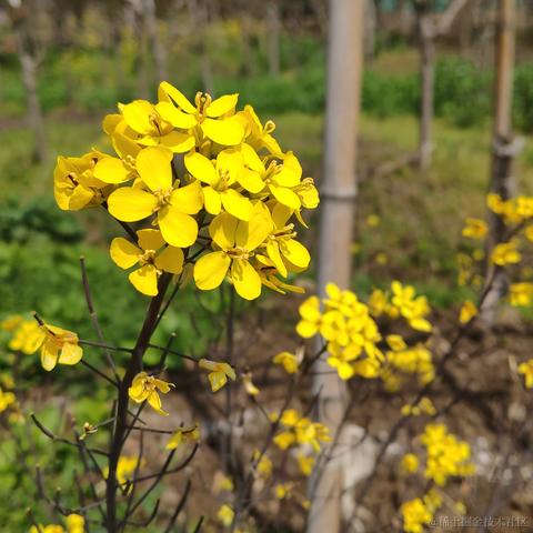 getify于2023-03-18 12:54发布的图片