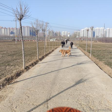 Bin17280于2023-02-04 13:58发布的图片