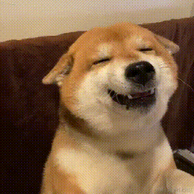 wzz不想写代码于2021-12-02 21:50发布的图片