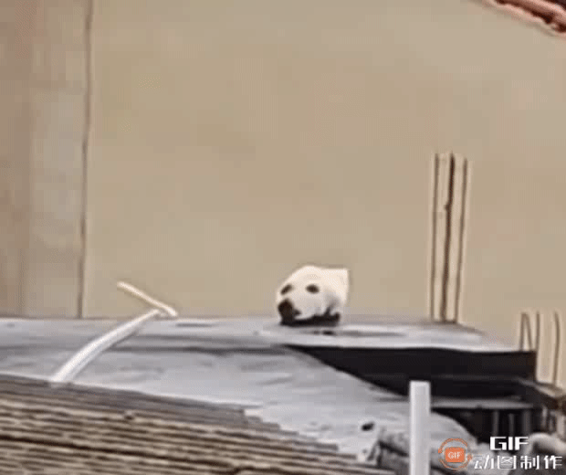 维吉尔的椅子于2022-12-13 06:32发布的图片