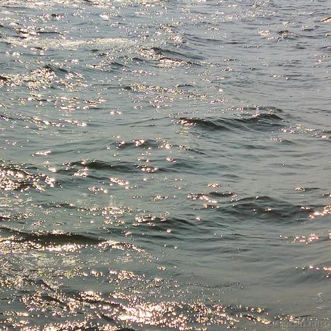 不会写代码的梓于2023-05-03 11:22发布的图片