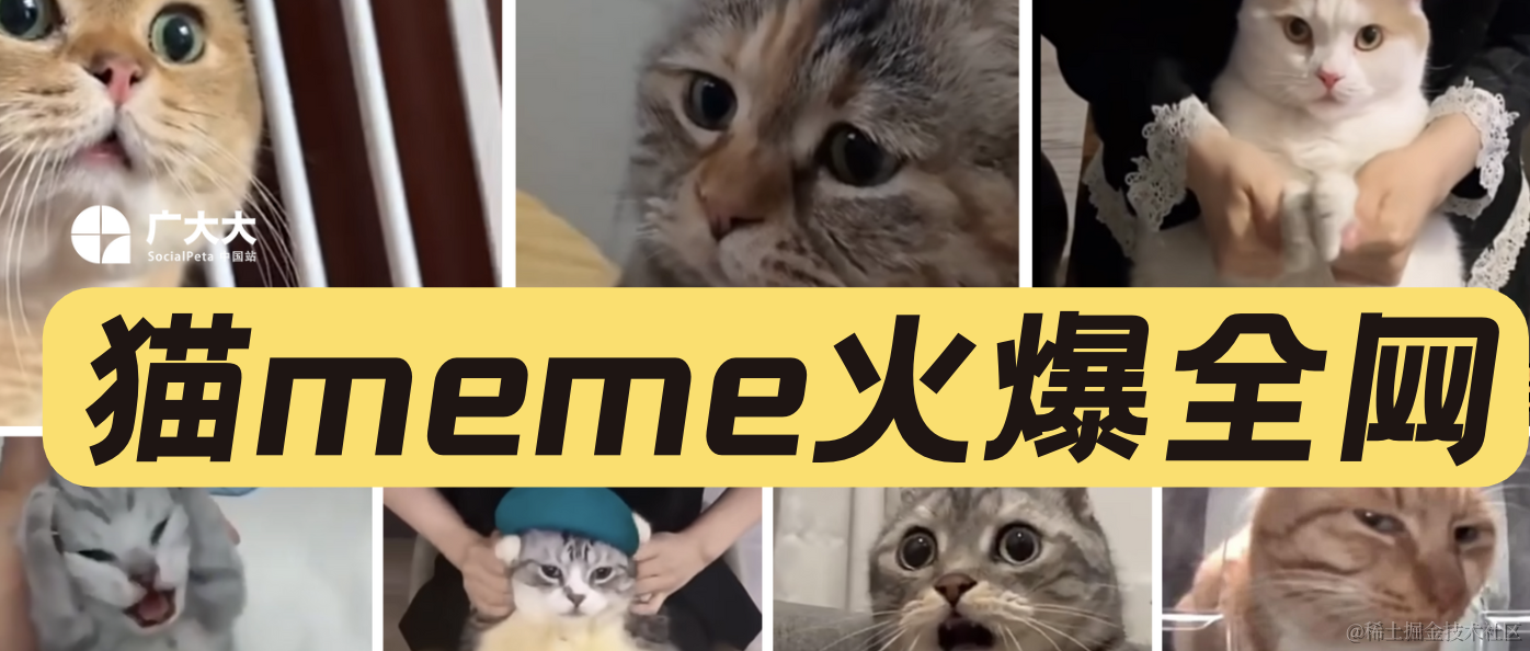 日本猫meme爆火，越南厂商进军猫meme手游，盘点猫meme极品素材你玩过猫meme手游吗？ 美国五星上将麦克阿瑟曾经- 掘金
