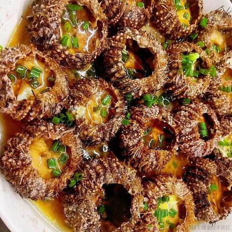 莫小希于2023-06-21 23:45发布的图片