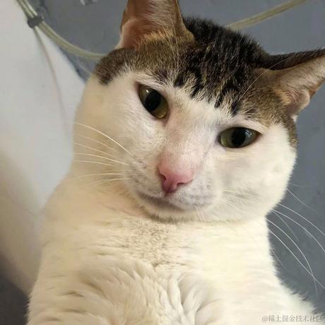 freecats08于2021-09-28 12:17发布的图片