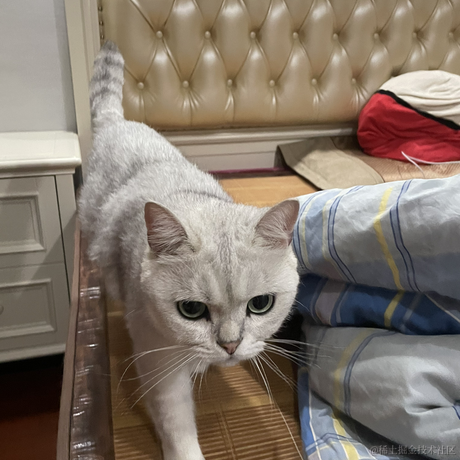 Gangangan于2023-07-26 08:51发布的图片