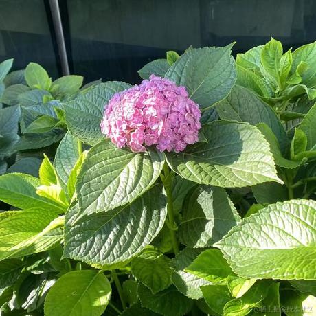 掘金齐天大圣于2023-05-17 22:27发布的图片