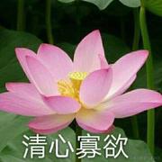 一枚硬币的个人资料头像