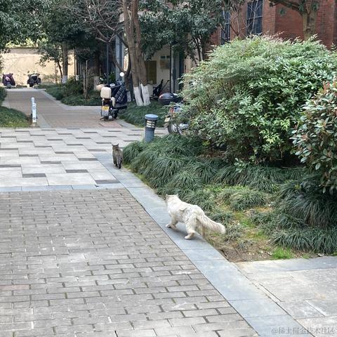 李狗蛋尔于2024-03-13 14:02发布的图片
