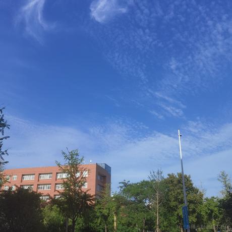 向晚天天进化中于2023-07-06 09:43发布的图片