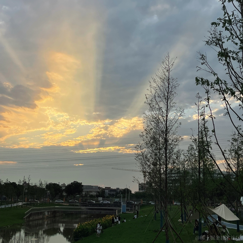 LucasWixx于2023-04-16 00:25发布的图片