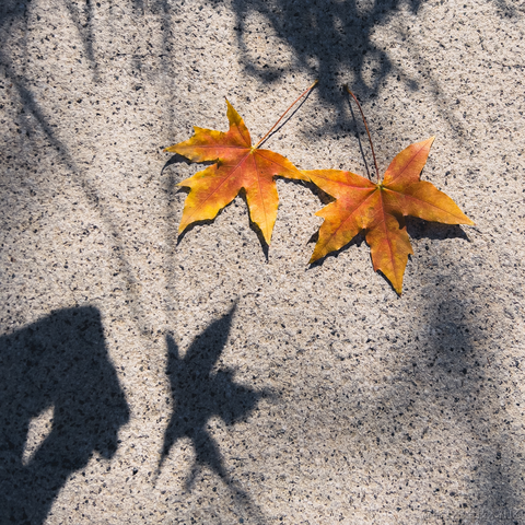 研究员于2023-10-27 14:15发布的图片