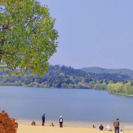 划水划水于2022-04-13 14:51发布的图片