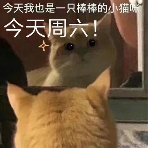 尼古拉斯阿柴于2023-05-31 09:25发布的图片