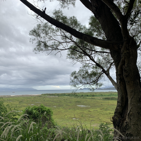 程序员张一笑于2021-06-28 10:50发布的图片