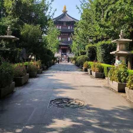 ma77于2023-08-16 09:44发布的图片