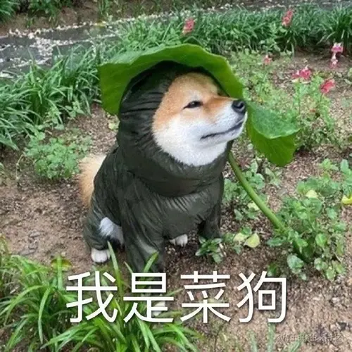 学习工作之余的搞笑bug集锦