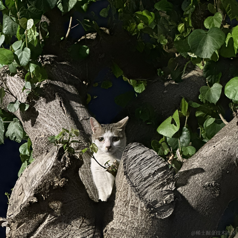 大富大贵AKkk于2023-04-15 22:26发布的图片