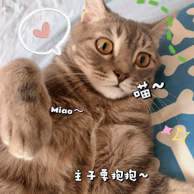 白又白i于2021-08-23 13:30发布的图片