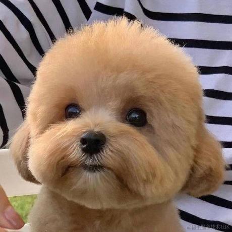 冬至8500于2023-01-10 19:51发布的图片