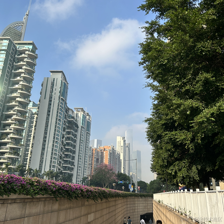 乐扣乐扣于2022-11-18 08:33发布的图片