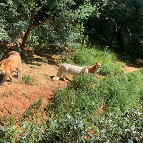 切图_仔于2022-10-05 21:46发布的图片