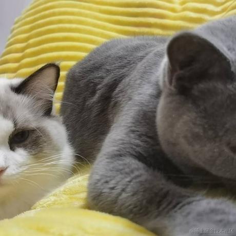 早起吃玉米于2022-11-09 11:49发布的图片