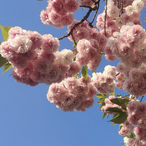 wsq于2023-04-11 20:48发布的图片