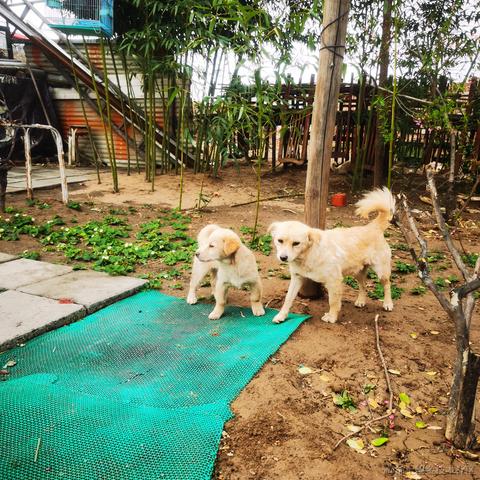 滨工柳于2023-04-05 14:05发布的图片