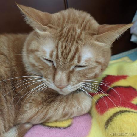 你先别急于2022-12-09 22:14发布的图片