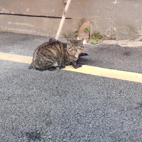 采撷红豆寄思浓于2022-12-15 16:08发布的图片