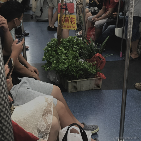 紫菜捏于2022-11-11 10:34发布的图片