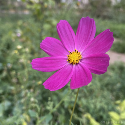 摄氏40度于2021-09-22 09:29发布的图片