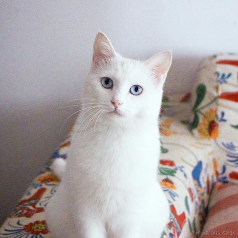 Susie_女子于2021-09-14 17:08发布的图片