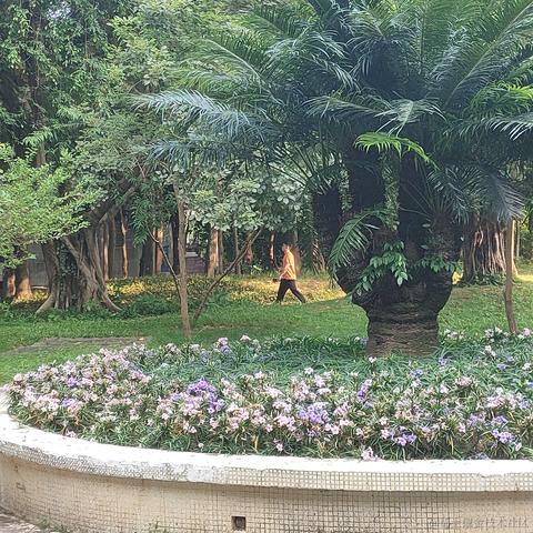 然然世界第一可爱于2022-11-11 19:41发布的图片