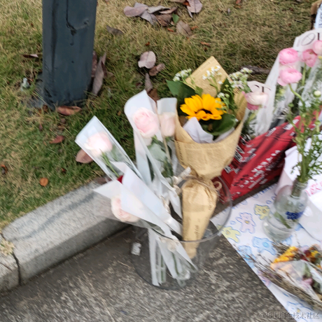 春卷好食于2022-11-26 09:40发布的图片