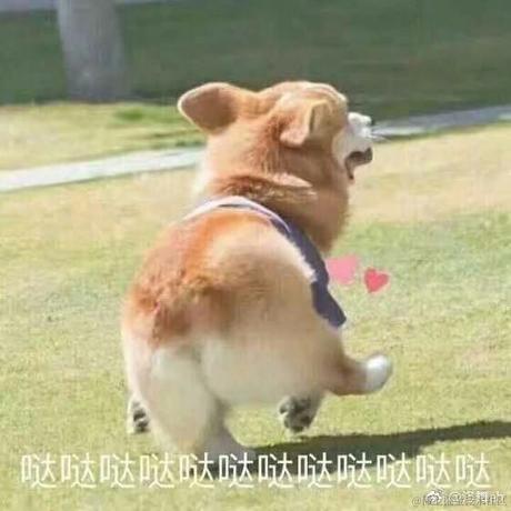 不介意的咱先磕个头于2022-01-05 10:50发布的图片