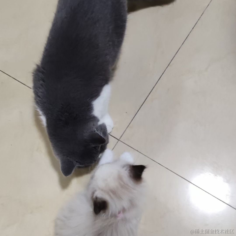 来快活呀于2021-11-30 09:16发布的图片