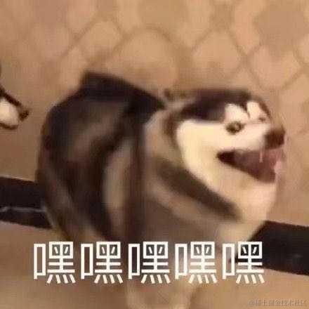 乏了累了躺会儿于2023-04-10 11:20发布的图片