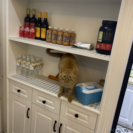 avavaava于2022-11-16 02:43发布的图片