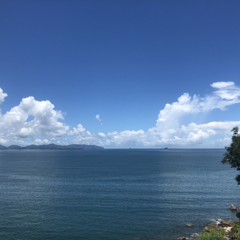 于2024-07-09 15:25发布的图片
