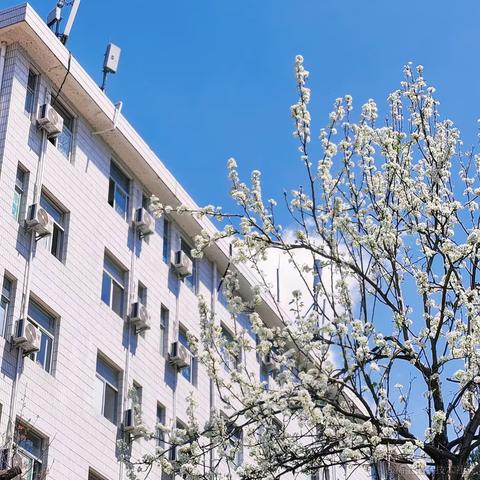 STATICHIT静砸于2023-04-11 13:07发布的图片