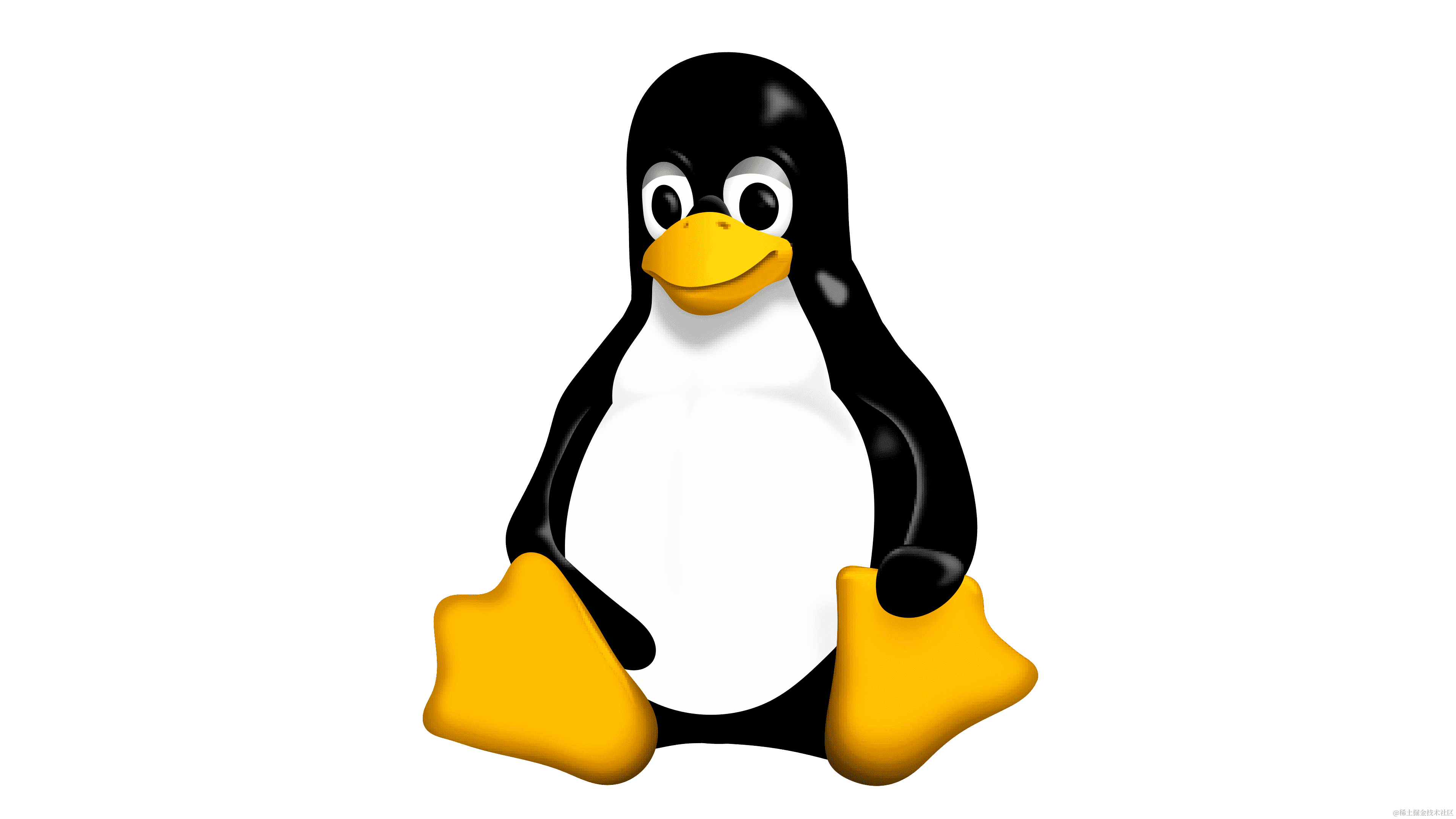 LINUX