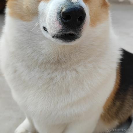 洛克克于2023-06-09 10:05发布的图片