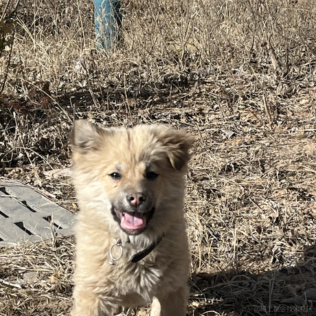 乃宝贴贴于2023-06-29 09:41发布的图片