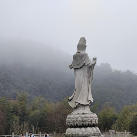 辞风于2022-11-23 21:09发布的图片