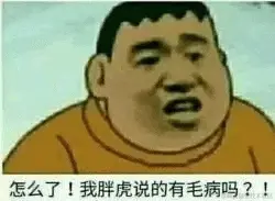 胖虎00014-怎么了-我胖虎说的有毛病吗.gif