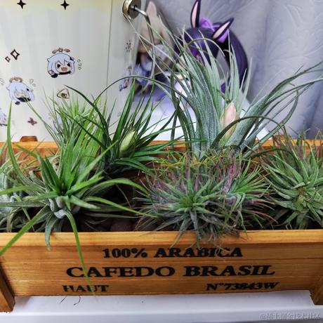 一个魂儿呀于2023-07-07 00:06发布的图片